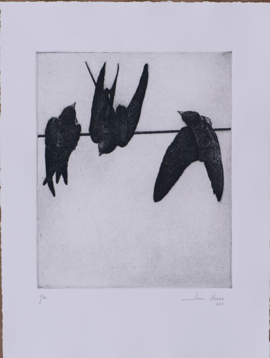 Printmaking titled "Swallows I" by Juan Álvarez Cebrián, Original Artwork, Etching