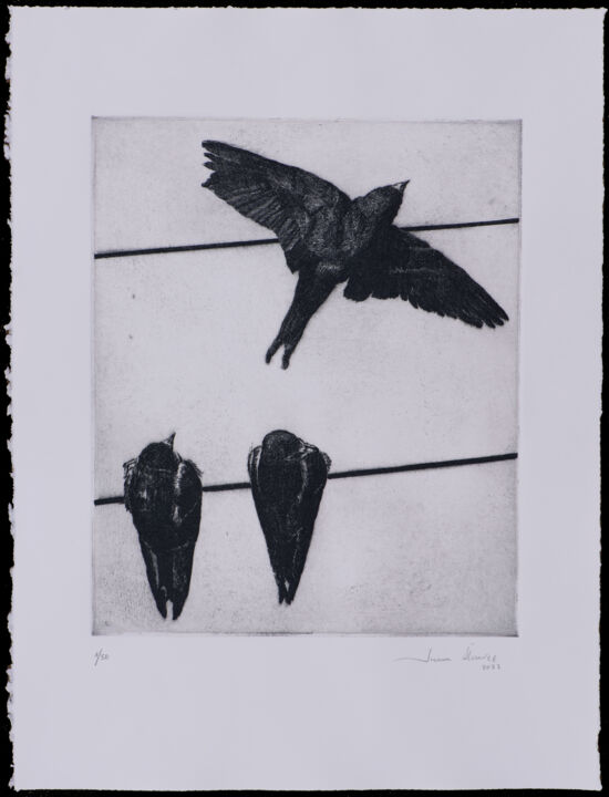 Отпечатки и Гравюры под названием "Swallows II" - Juan Álvarez Cebrián, Подлинное произведение искусства, Травление