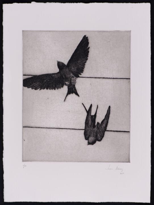 Printmaking titled "Swallows III" by Juan Álvarez Cebrián, Original Artwork, Etching