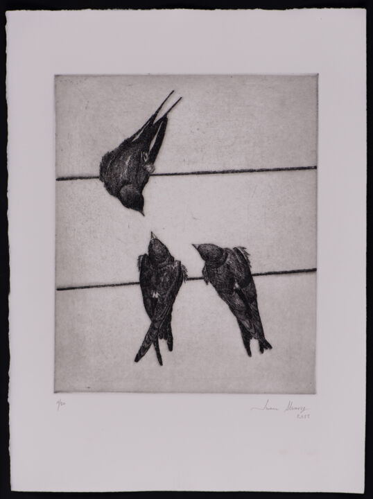 Отпечатки и Гравюры под названием "Swallows IV" - Juan Álvarez Cebrián, Подлинное произведение искусства, Травление