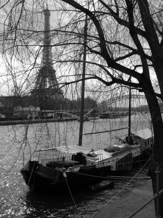Fotografia intitolato "Paris fluvial" da Jürgen Briem, Opera d'arte originale