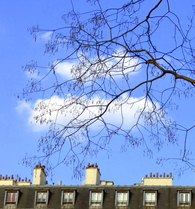 Photographie intitulée "Le printemps ! Faut…" par Jürgen Briem, Œuvre d'art originale