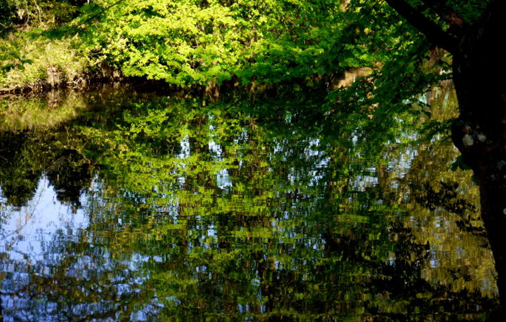 Photography titled "Série "Au parc de C…" by Jürgen Briem, Original Artwork