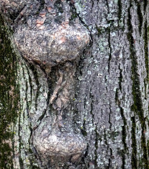 Fotografia zatytułowany „Les larmes de la sa…” autorstwa Jürgen Briem, Oryginalna praca