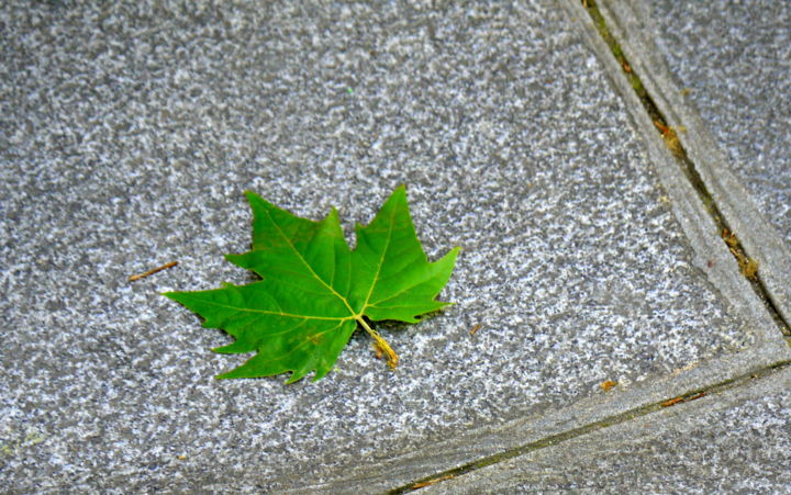 Photography titled "Etoilé" by Jürgen Briem, Original Artwork