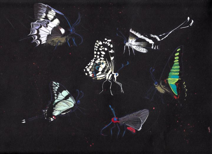 Painting titled "butterflies-on-blac…" by Julia Beery, Original Artwork, Acrylic