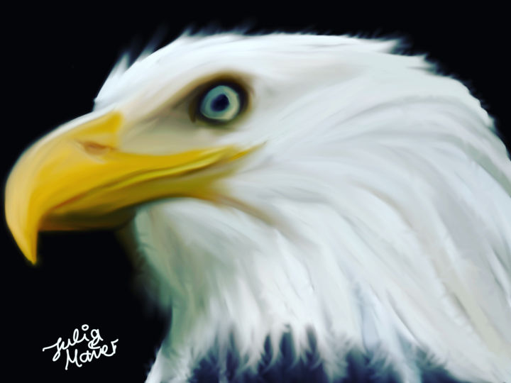 Digitale Künste mit dem Titel "Adler" von Julia Maier, Original-Kunstwerk, Digitale Malerei