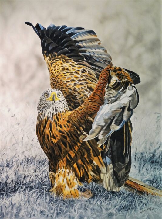 Painting titled "Red Kite" by Julian Wheat, Original Artwork, Acrylic
