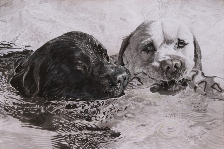 Desenho intitulada "Best pals,labradors…" por Julian Wheat, Obras de arte originais, Grafite