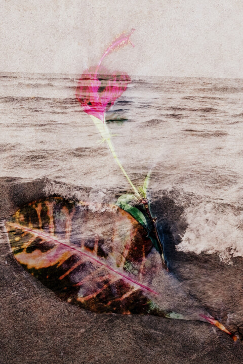 Photography titled "Flower Sea" by Juliana Vasquez, Original Artwork, Digital Photography