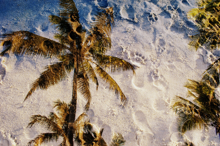 Fotografie mit dem Titel "Coconut trees #2" von Juliana Vasquez, Original-Kunstwerk, Manipulierte Fotografie