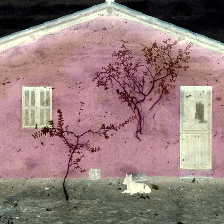 Photography titled "House and Dog, Cara…" by Juliana Vasquez, Original Artwork, Manipulated Photography