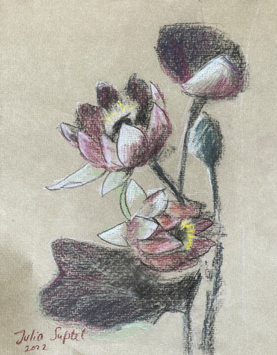 Drawing titled "Lotus étude 2" by Julia Suptel, Original Artwork, Pastel