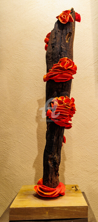 Sculpture titled "When the Earth Smil…" by Julie Dalloz, Original Artwork, Wood