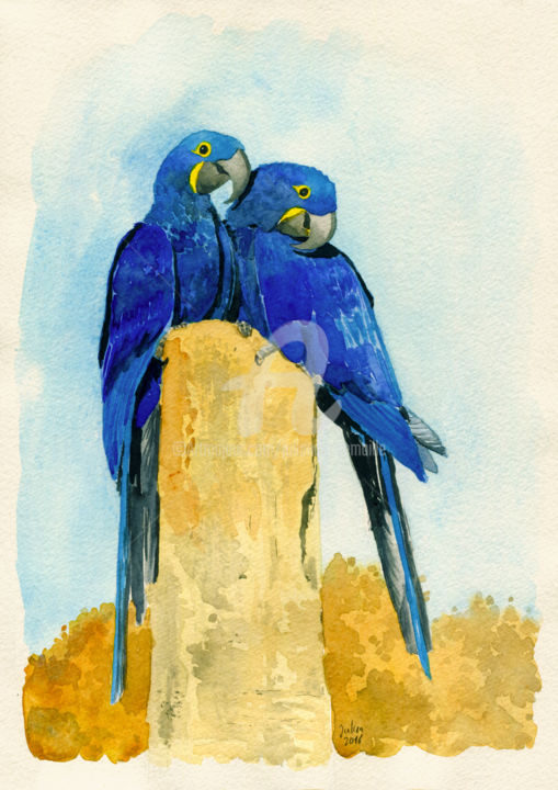 Painting titled "Arara azul grande (…" by Julien Cachemaille, Original Artwork, Watercolor