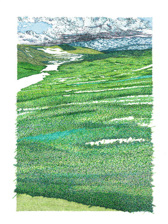 Drawing titled "La grande forêt" by Julien Jammes, Original Art, Ink
