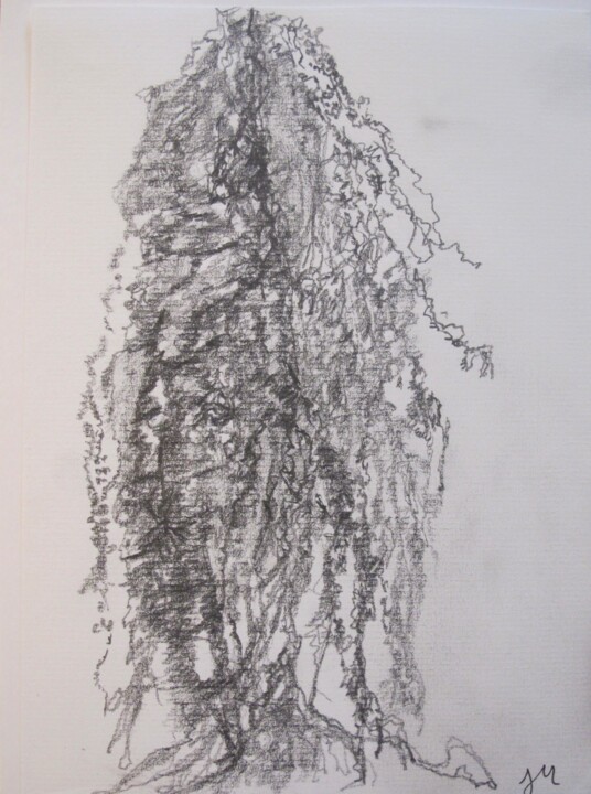 Dessin intitulée "saule" par Juliette Wegrzyk, Œuvre d'art originale, Crayon