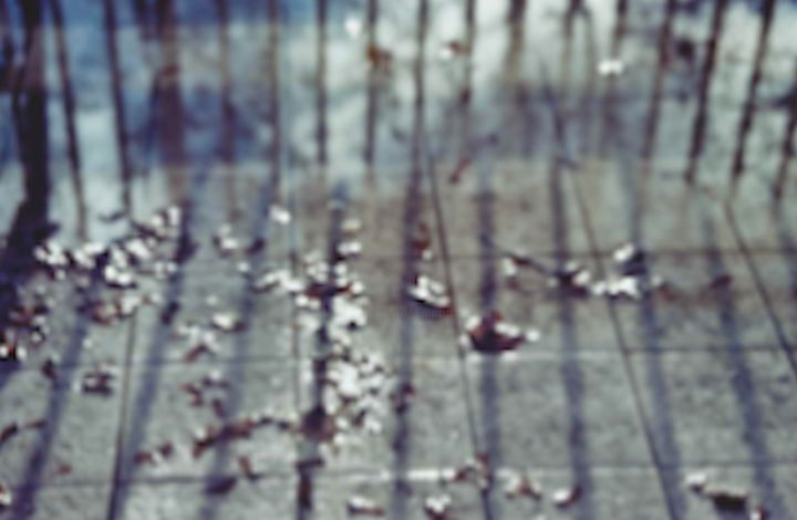 Photographie intitulée "filet.png" par Juliette Wegrzyk, Œuvre d'art originale,