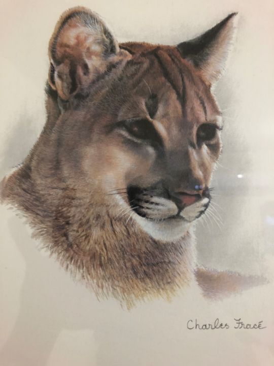 Pintura intitulada "Young cougart cub" por De La Rue La Vie, Obras de arte originais