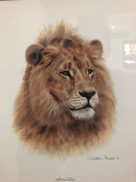Painting titled "“African lion” by c…" by De La Rue La Vie, Original Artwork