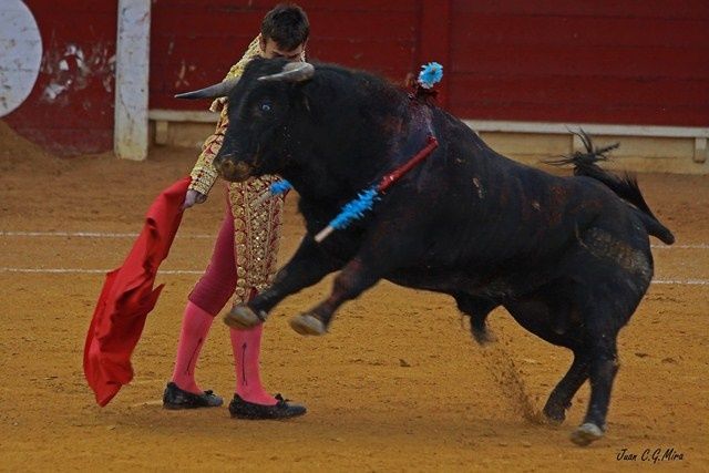 Fotografie mit dem Titel "toros" von Juan Garcia, Original-Kunstwerk