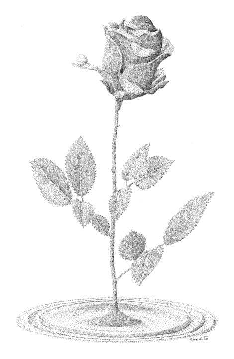 Рисунок под названием "rose" - Jure Kralj, Подлинное произведение искусства, Чернила