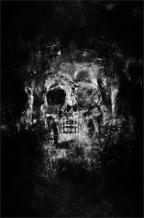 Photographie intitulée "skull" par Jürgen Haffa (creator), Œuvre d'art originale, Photographie numérique Monté sur Aluminium