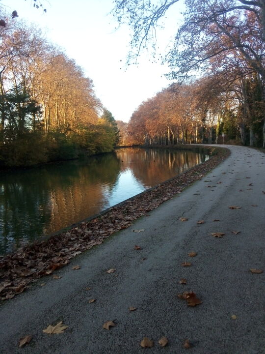 "Canal du Midi 5" başlıklı Fotoğraf Justine Ponticelli tarafından, Orijinal sanat, Dijital Fotoğrafçılık