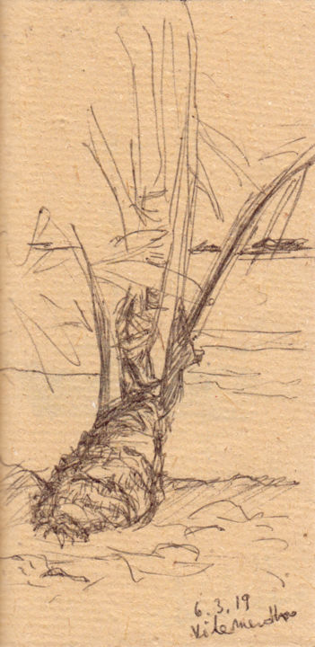 Drawing titled "Maldives, Palmier" by Philippe Juttens, Original Artwork, Ballpoint pen