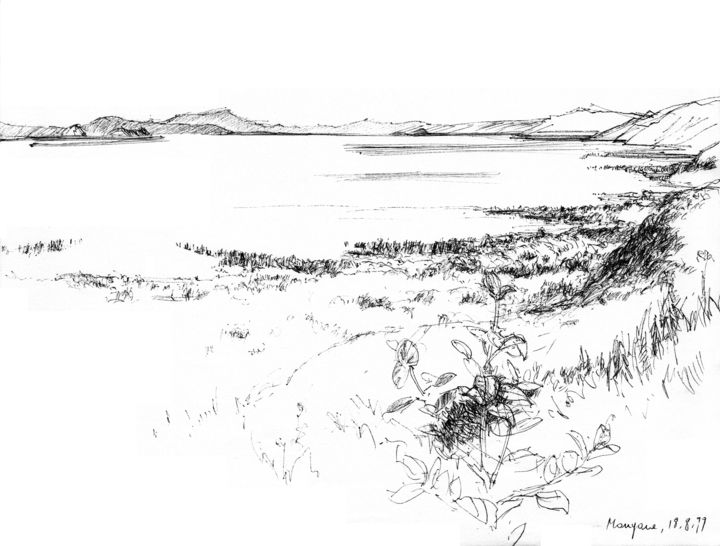 Dessin intitulée "Lac Manyara, Tanzan…" par Philippe Juttens, Œuvre d'art originale, Encre