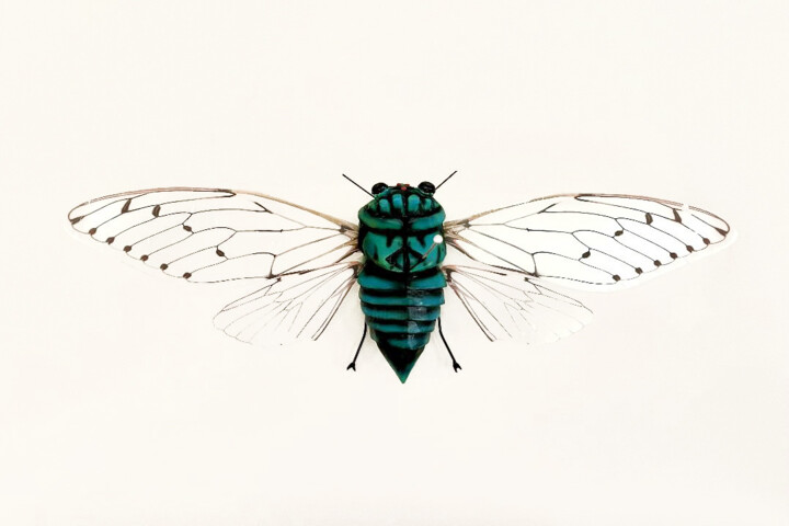 Sculpture titled "Emerald Cicada" by Ken Overman, Original Artwork, Plastic