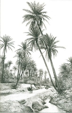 Disegno intitolato "palmeraie aux ânes" da Chafik Kadi, Opera d'arte originale