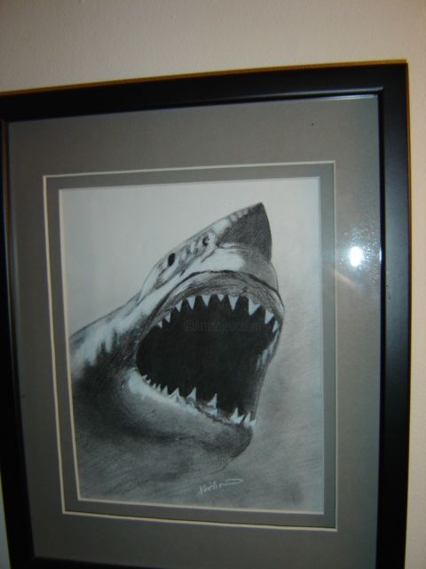 Drawing titled "Great White" by Chance Kaiden, Original Artwork