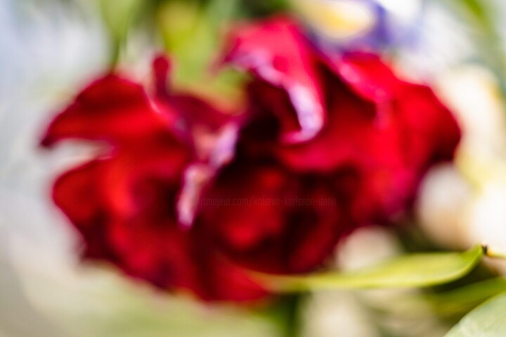 Fotografie getiteld "Rose of June" door Kalervo Karlsson (DONK), Origineel Kunstwerk, pigmenten
