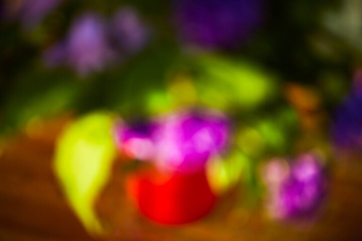 Fotografie getiteld "Flowers #In-Red-Vas…" door Kalervo Karlsson (DONK), Origineel Kunstwerk, pigmenten