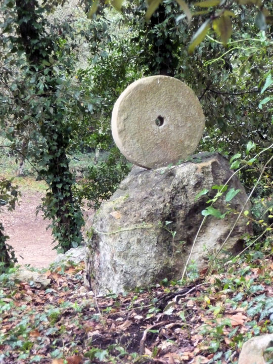 Escultura titulada "La Roue" por Kalizae, Obra de arte original, Piedra