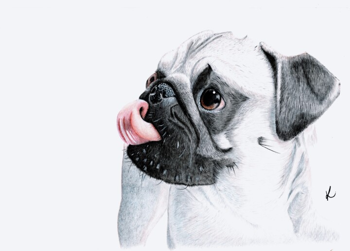 Dessin intitulée "The Pug" par Kalli Horn, Œuvre d'art originale, Crayon