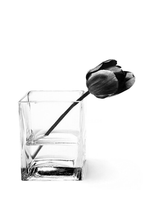 Σχέδιο με τίτλο "Black Tulip" από Kama, Αυθεντικά έργα τέχνης, Μολύβι