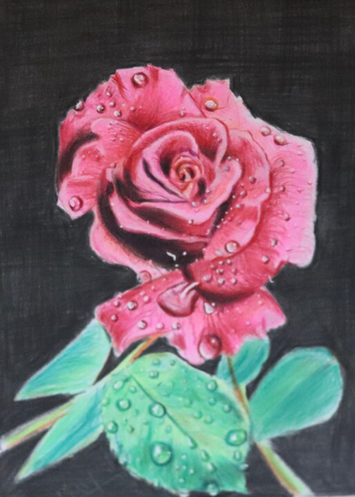 Dessin intitulée "Dew drops on Rose" par Kamal Raj Thakur Utsav Thakur, Œuvre d'art originale, Crayon