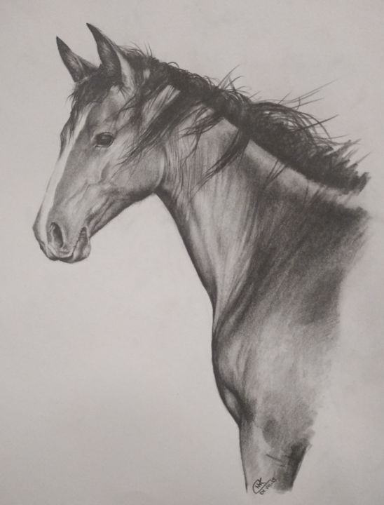 Dessin intitulée "Horse head pencildr…" par Kanat Mks, Œuvre d'art originale, Crayon