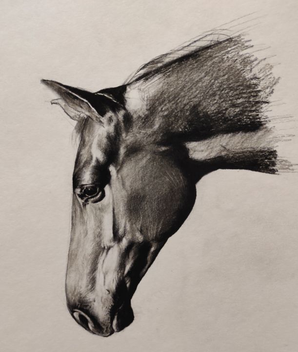 Disegno intitolato "Horse head charcoal…" da Kanat Mks, Opera d'arte originale, Carbone