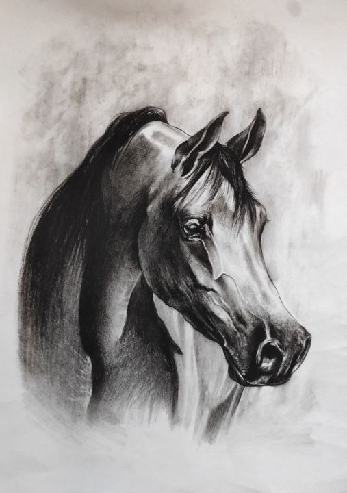 Tekening getiteld "Arabian horse portr…" door Kanat Mks, Origineel Kunstwerk, Houtskool