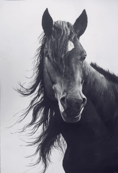 Painting titled "Black&White Horse" by Kanat Mks, Original Artwork, Acrylic
