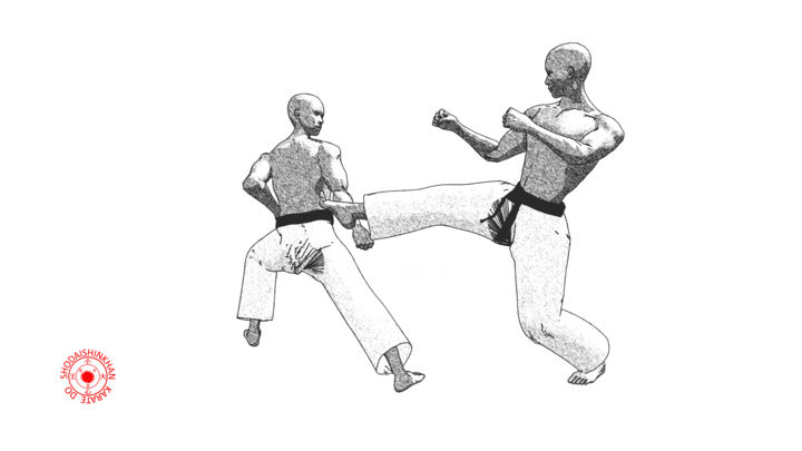 Digitale Kunst mit dem Titel "Koho gedan barai (1)" von Karate Poster, Original-Kunstwerk, 3D Modellierung