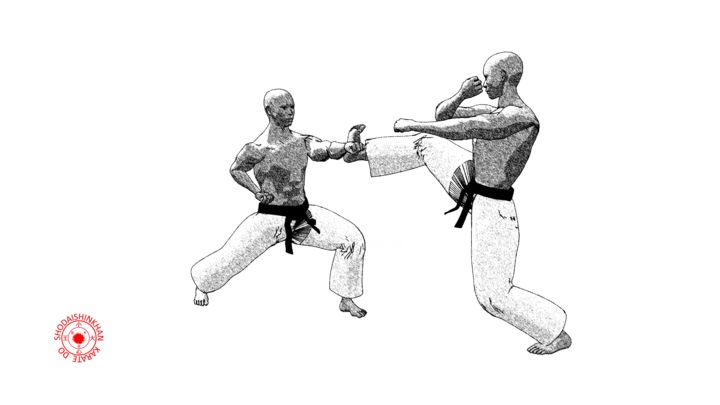Digital Arts titled "Mikazuki geri" by Karate Poster, Original Artwork, 2D Digital Work