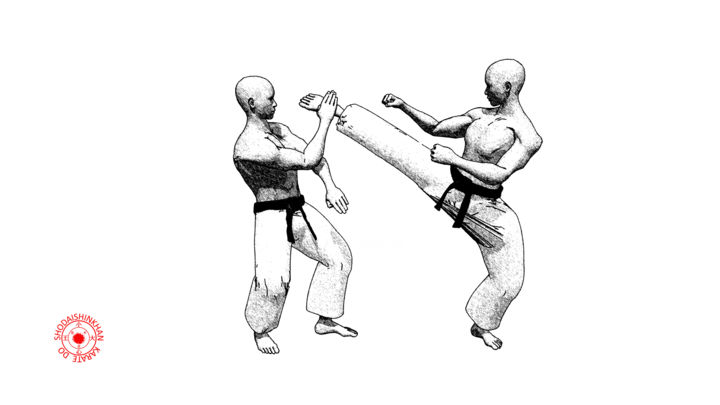 Digital Arts titled "Ryosho ryowan sokum…" by Karate Poster, Original Artwork, 2D Digital Work