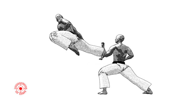 Digital Arts titled "Ushiro tobi geri (1)" by Karate Poster, Original Artwork, 2D Digital Work
