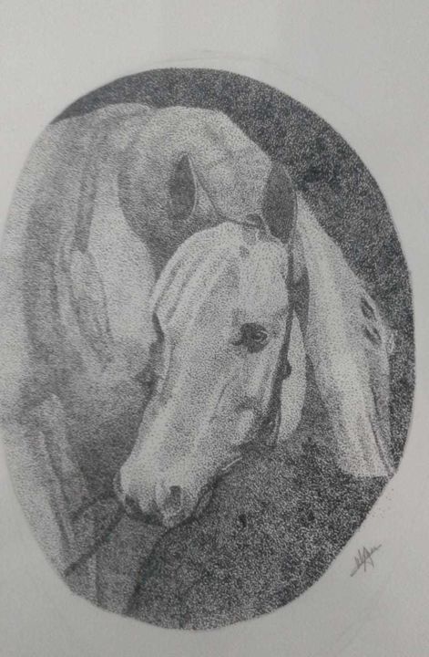 Tekening getiteld "The horse" door Areeba Khan, Origineel Kunstwerk