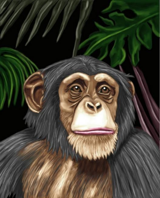 Digital Arts titled "chimpanzee" by Karen Sheltrown, Original Art, Digital Painting