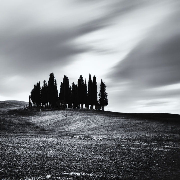 Fotografia intitolato "Cypress trees at su…" da Karim Carella, Opera d'arte originale, Fotografia digitale